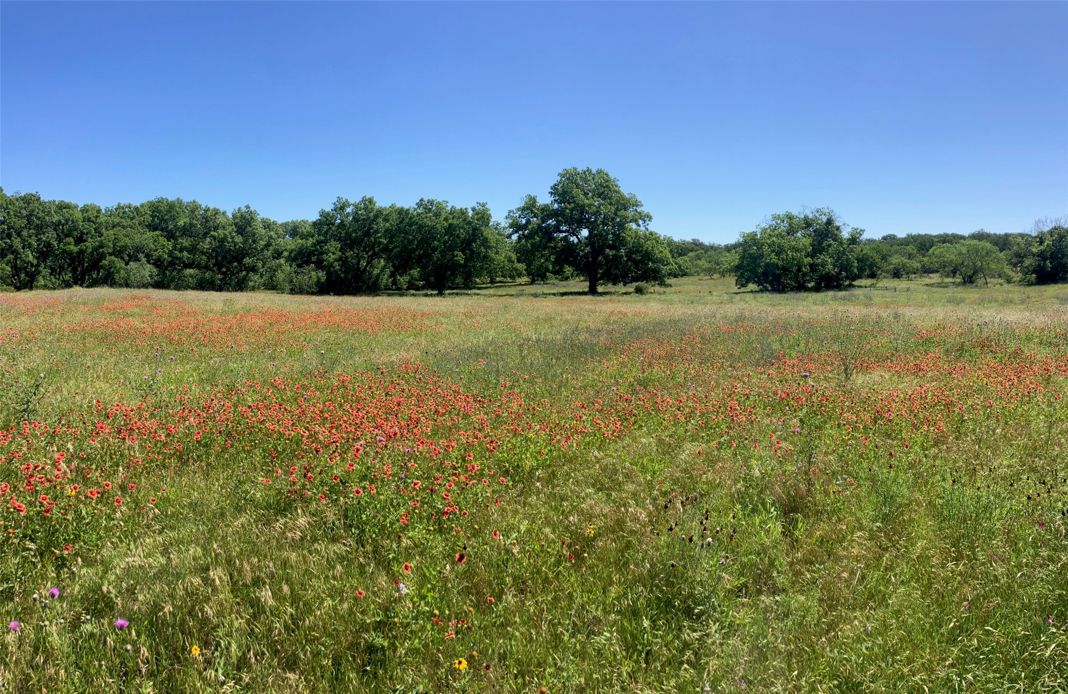 92.195 Acres Tbd County Road 434 De Leon TX 76446