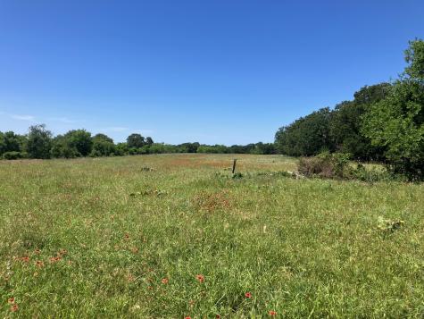 92.195 Acres Tbd County Road 434 De Leon TX 76446