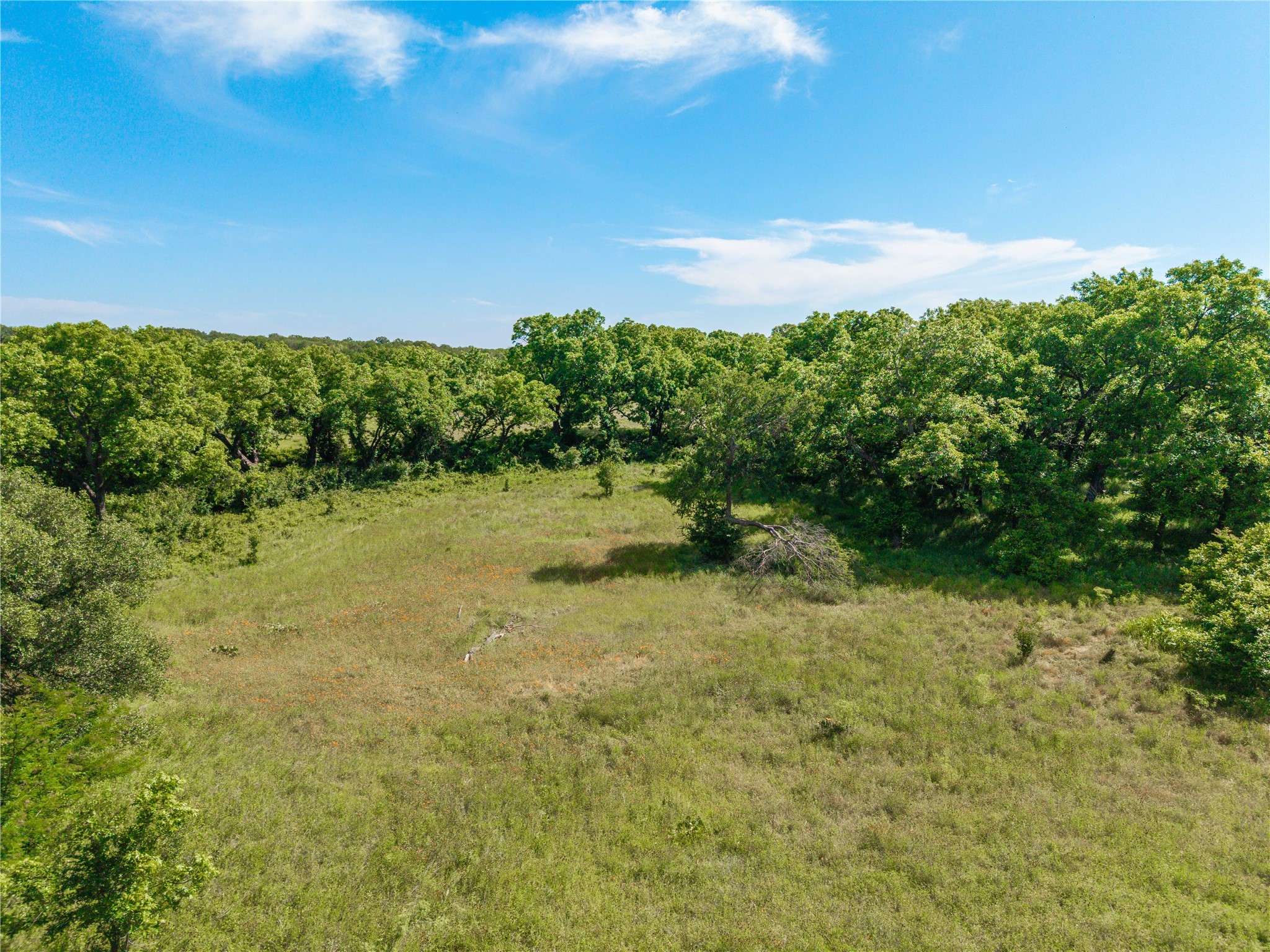 92.195 Acres Tbd County Road 434 De Leon TX 76446