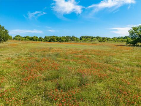 92.195 Acres Tbd County Road 434 De Leon TX 76446