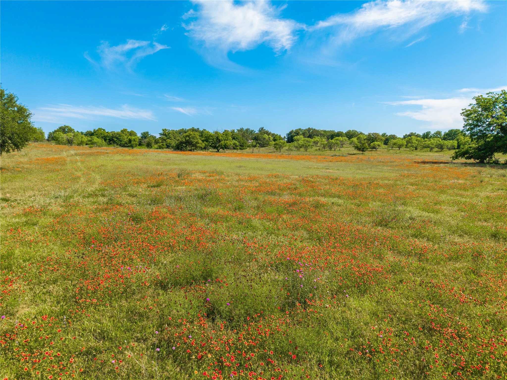 92.195 Acres Tbd County Road 434 De Leon TX 76446
