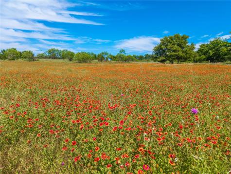 92.195 Acres Tbd County Road 434 De Leon TX 76446