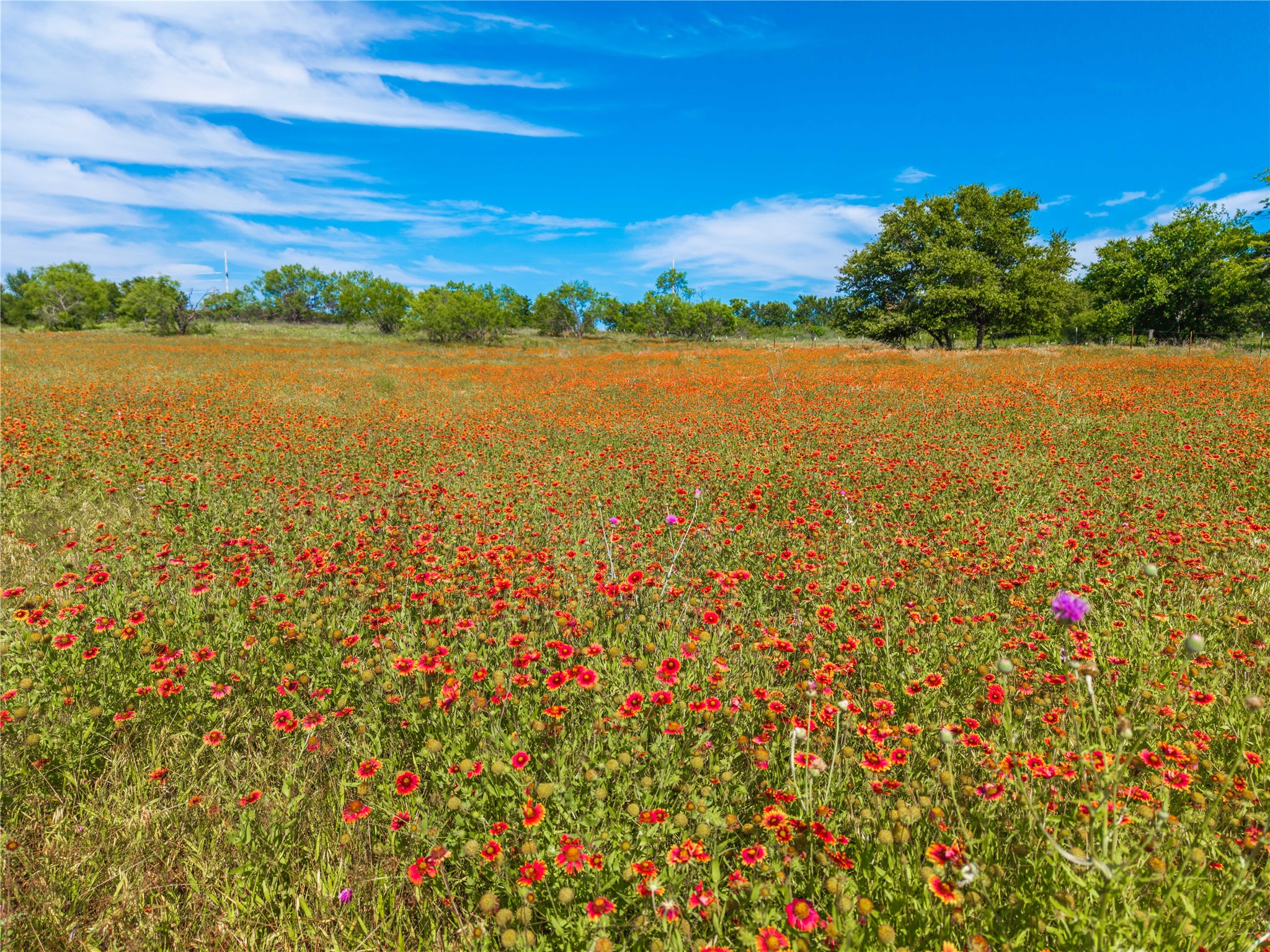 92.195 Acres Tbd County Road 434 De Leon TX 76446