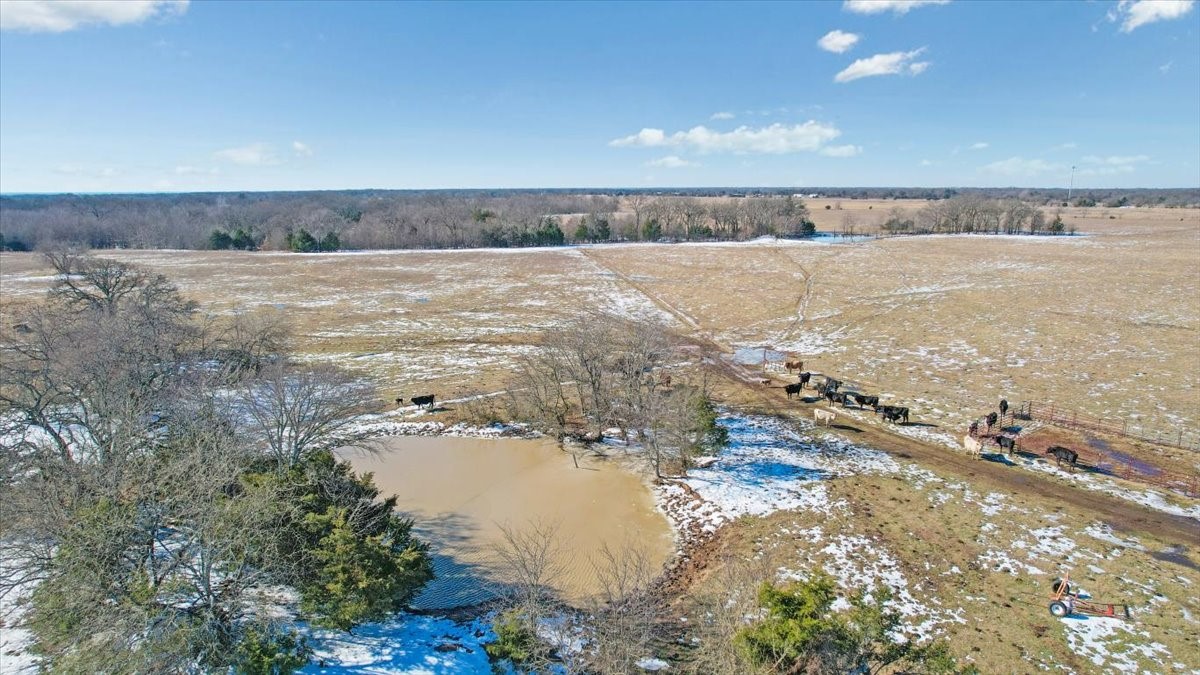 Tbd 42.972 Acres Fm-1396 Road Ivanhoe TX 75447