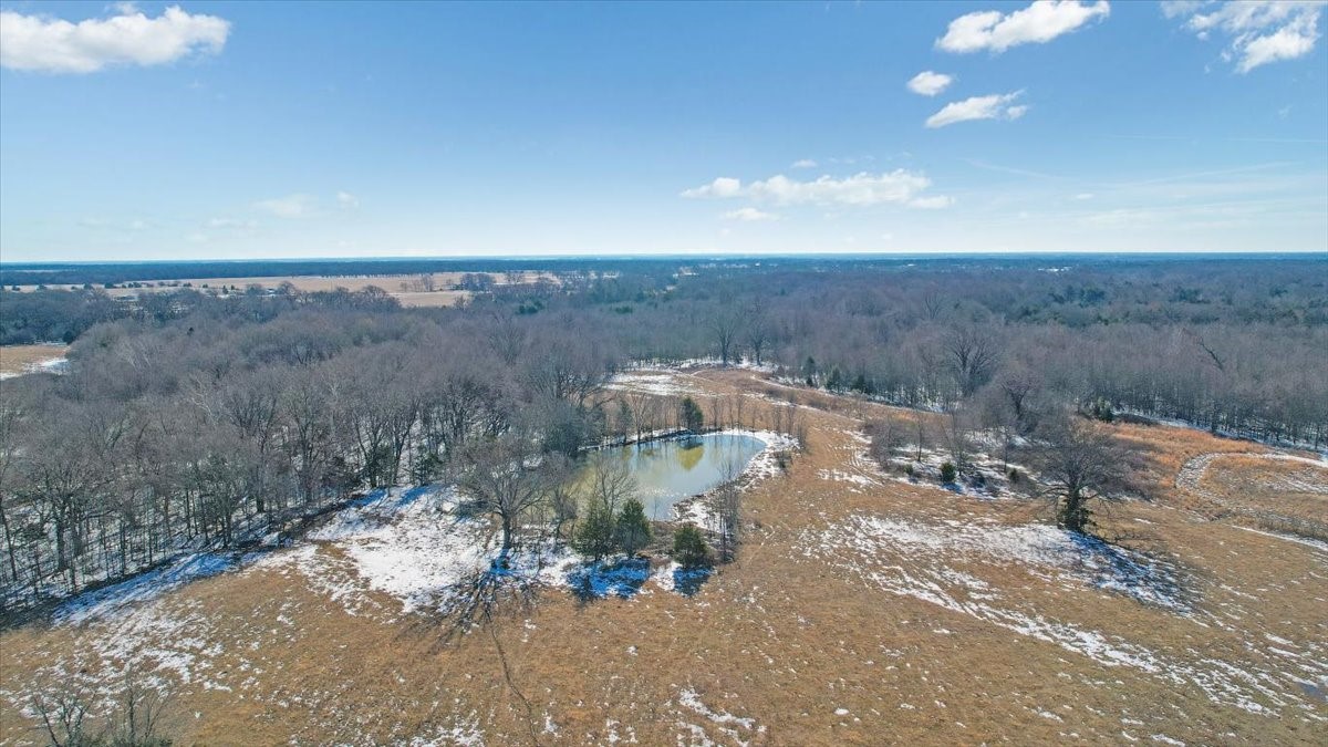 Tbd 42.972 Acres Fm-1396 Road Ivanhoe TX 75447