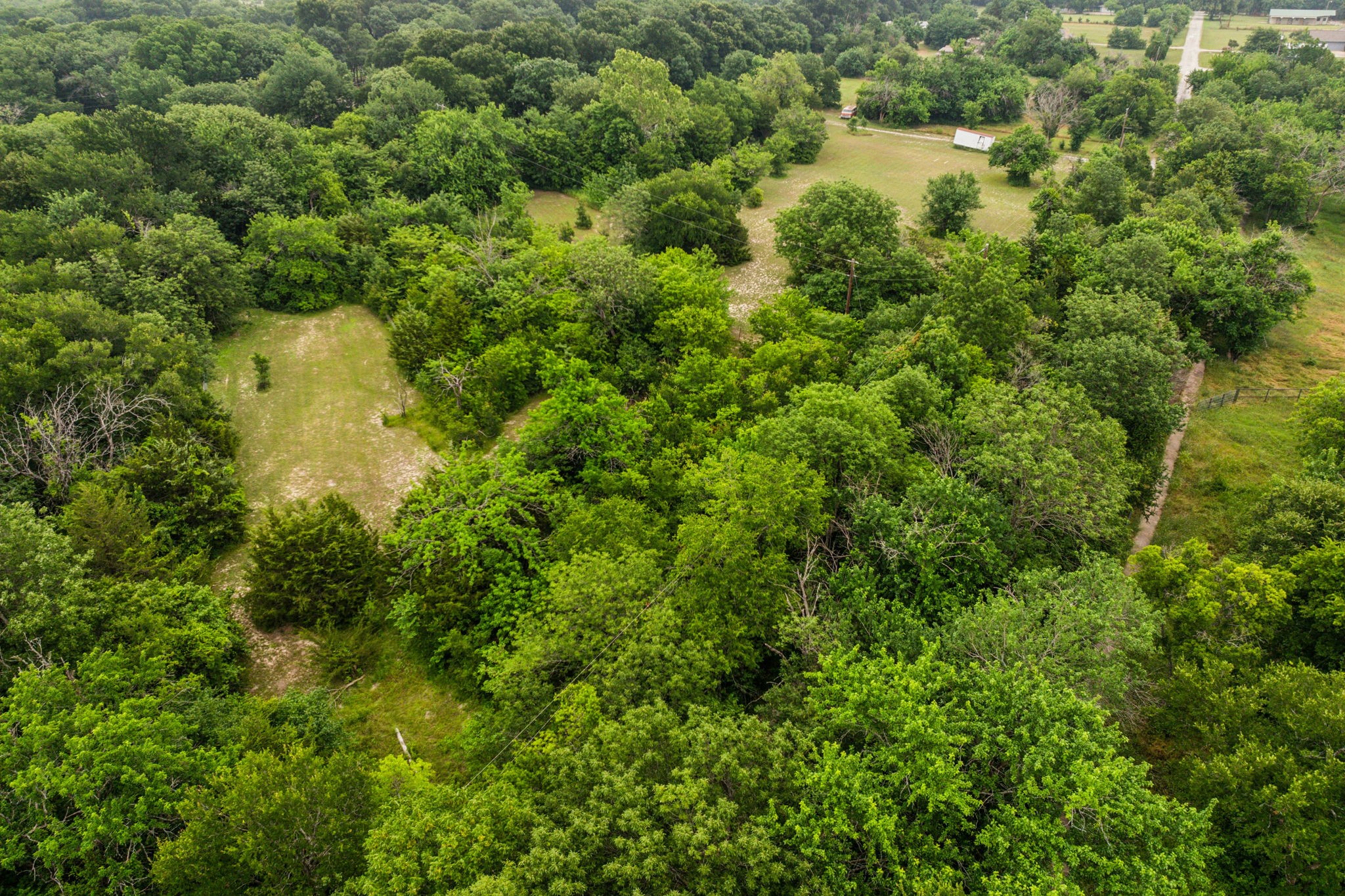 2729 Stickhorse Lane Mckinney TX 75071