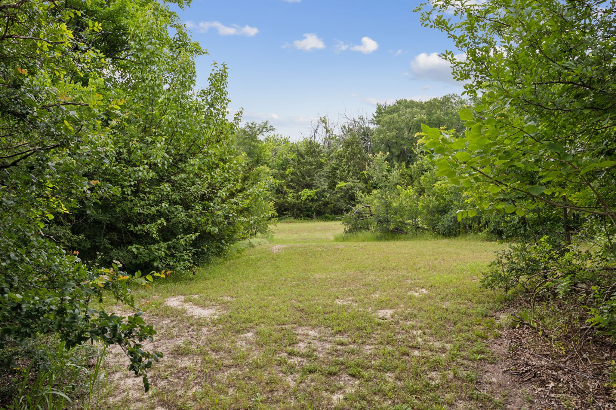 2729 Stickhorse Lane Mckinney TX 75071