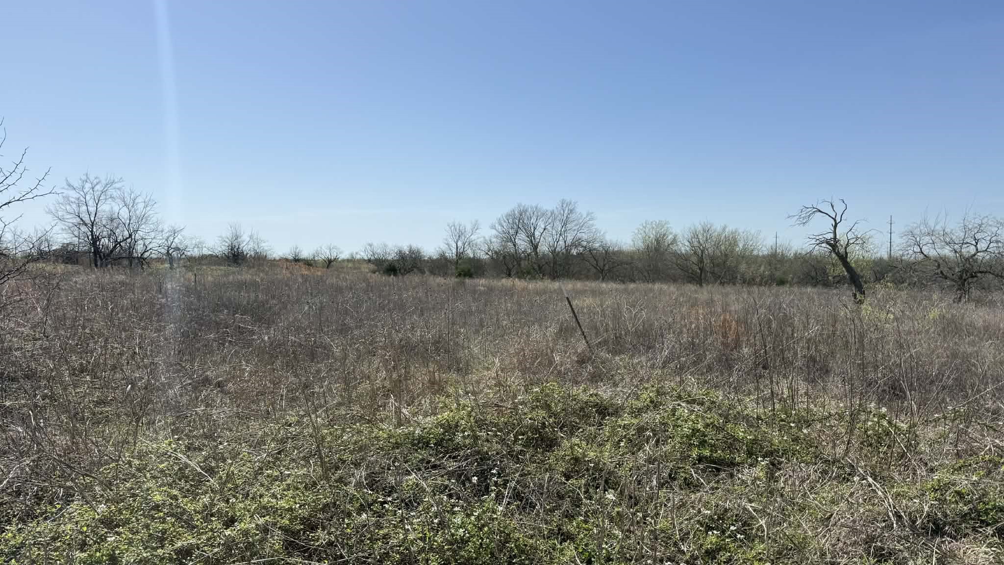 0 Fm Road 1392 Terrell TX 75160