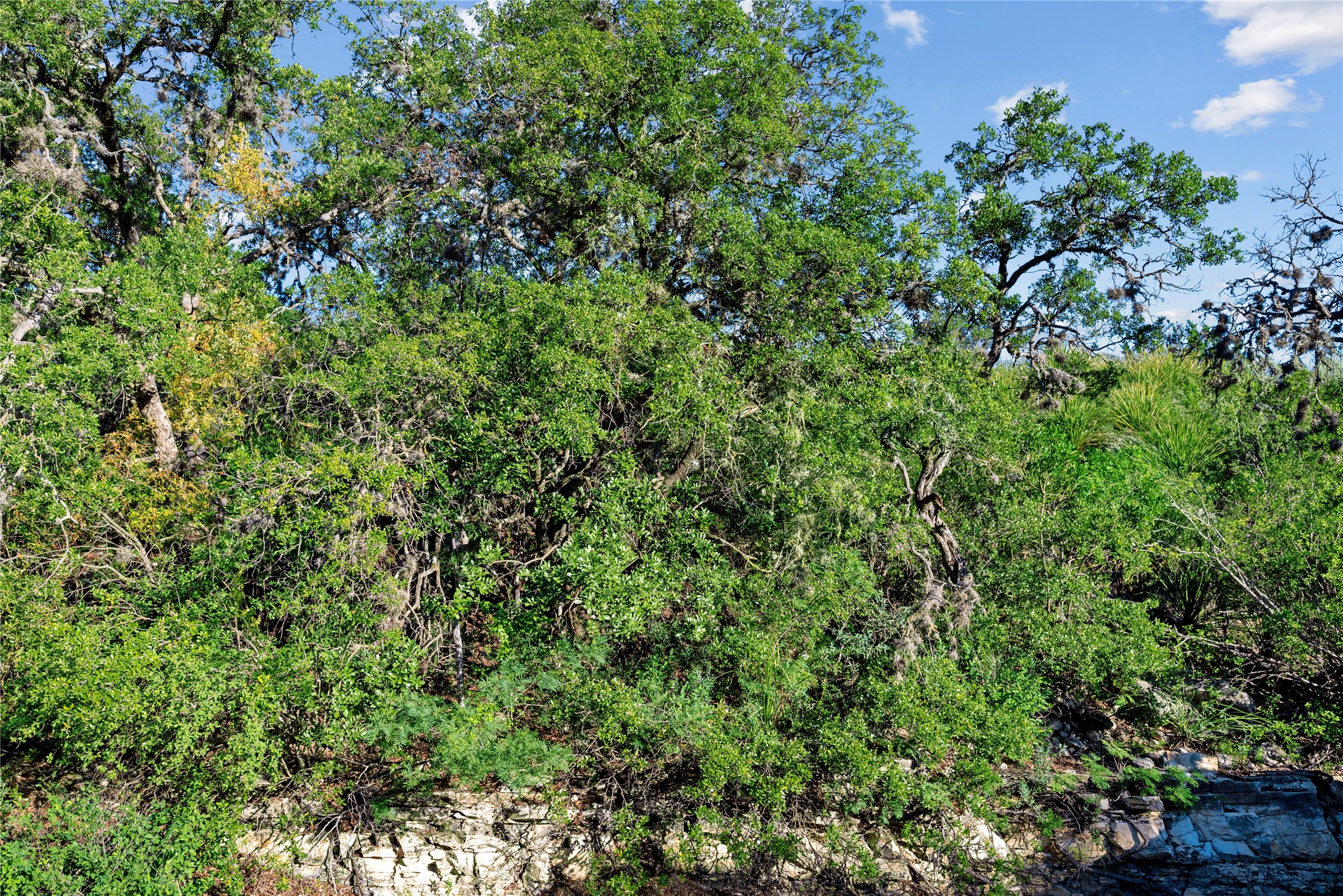 Nueces River Ranch Highway 55 Uvalde TX 78801