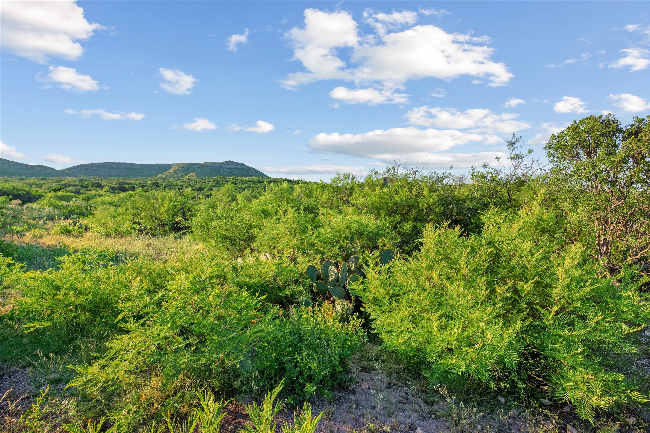 Nueces River Ranch Highway 55 Uvalde TX 78801