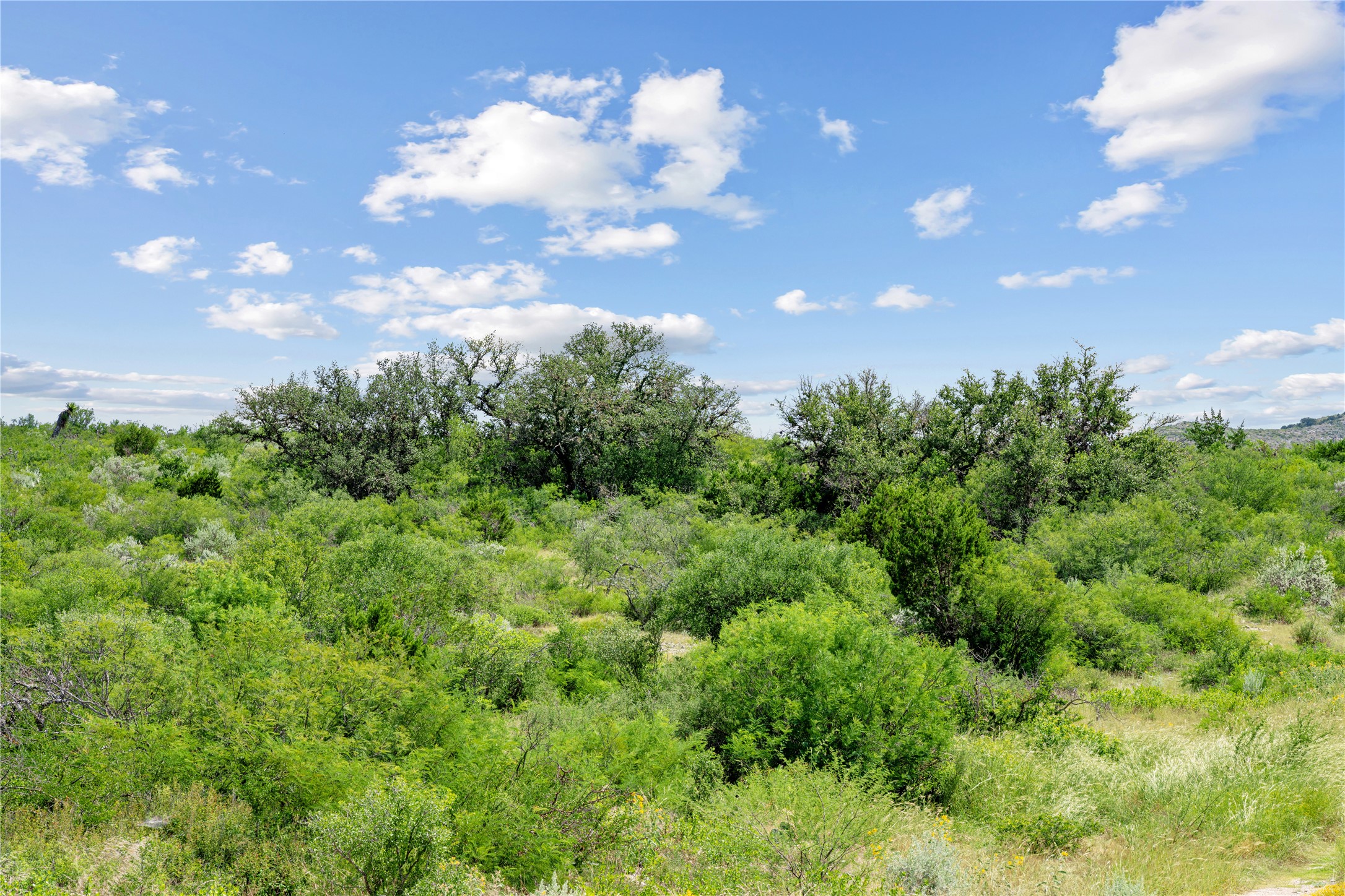 Nueces River Ranch Highway 55 Uvalde TX 78801