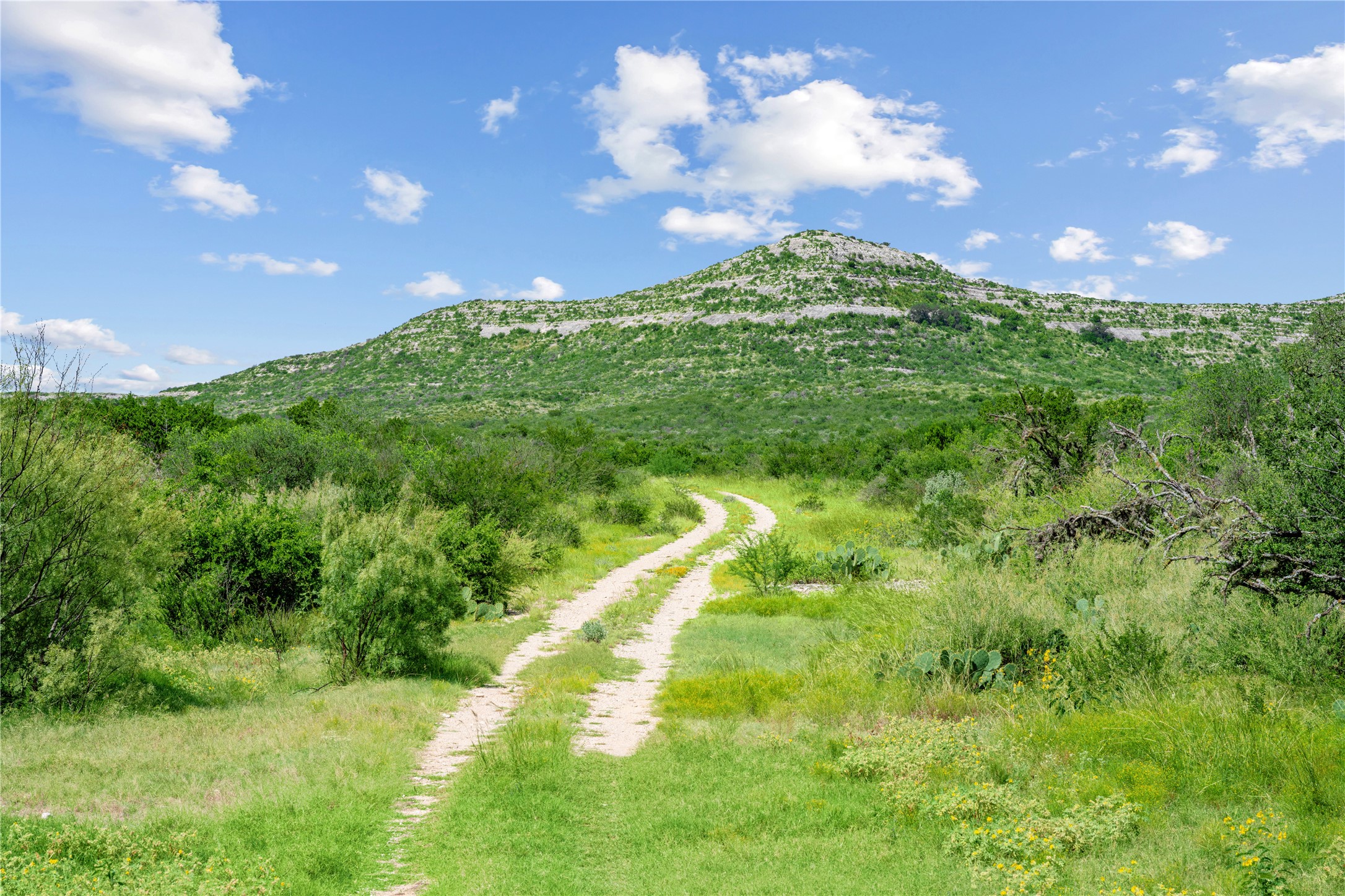 Nueces River Ranch Highway 55 Uvalde TX 78801