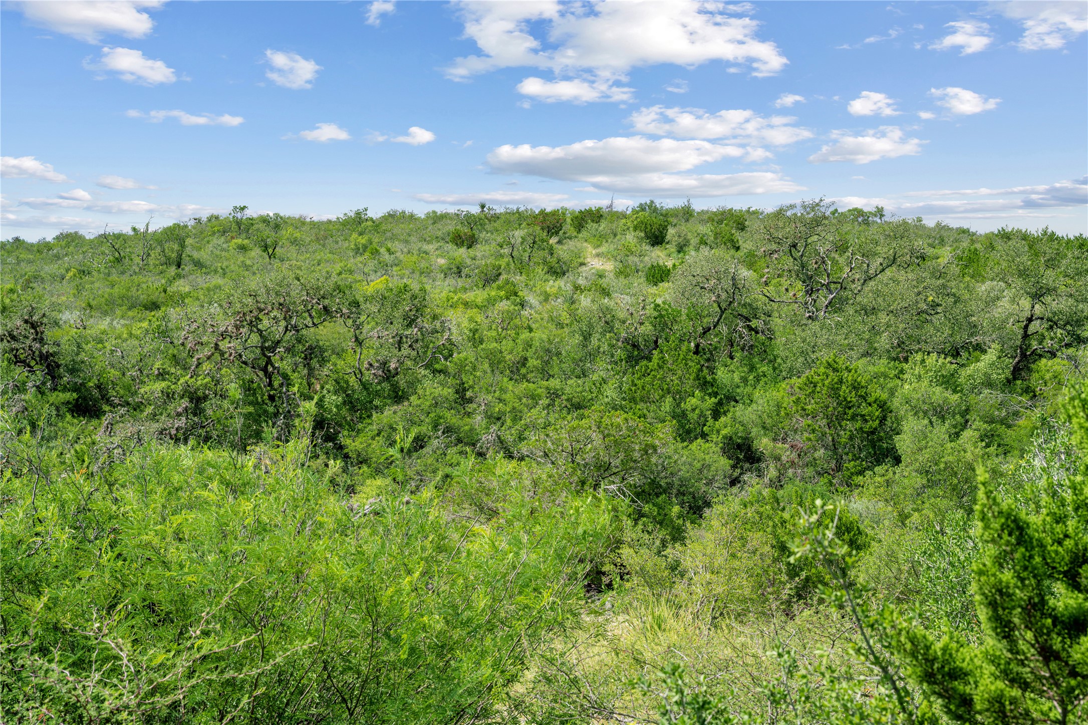 Nueces River Ranch Highway 55 Uvalde TX 78801