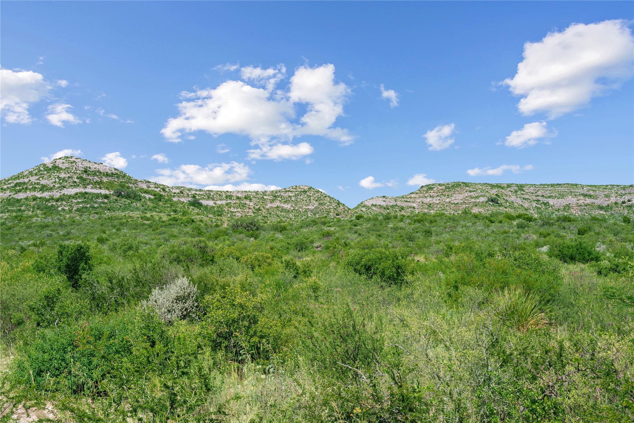 Nueces River Ranch Highway 55 Uvalde TX 78801