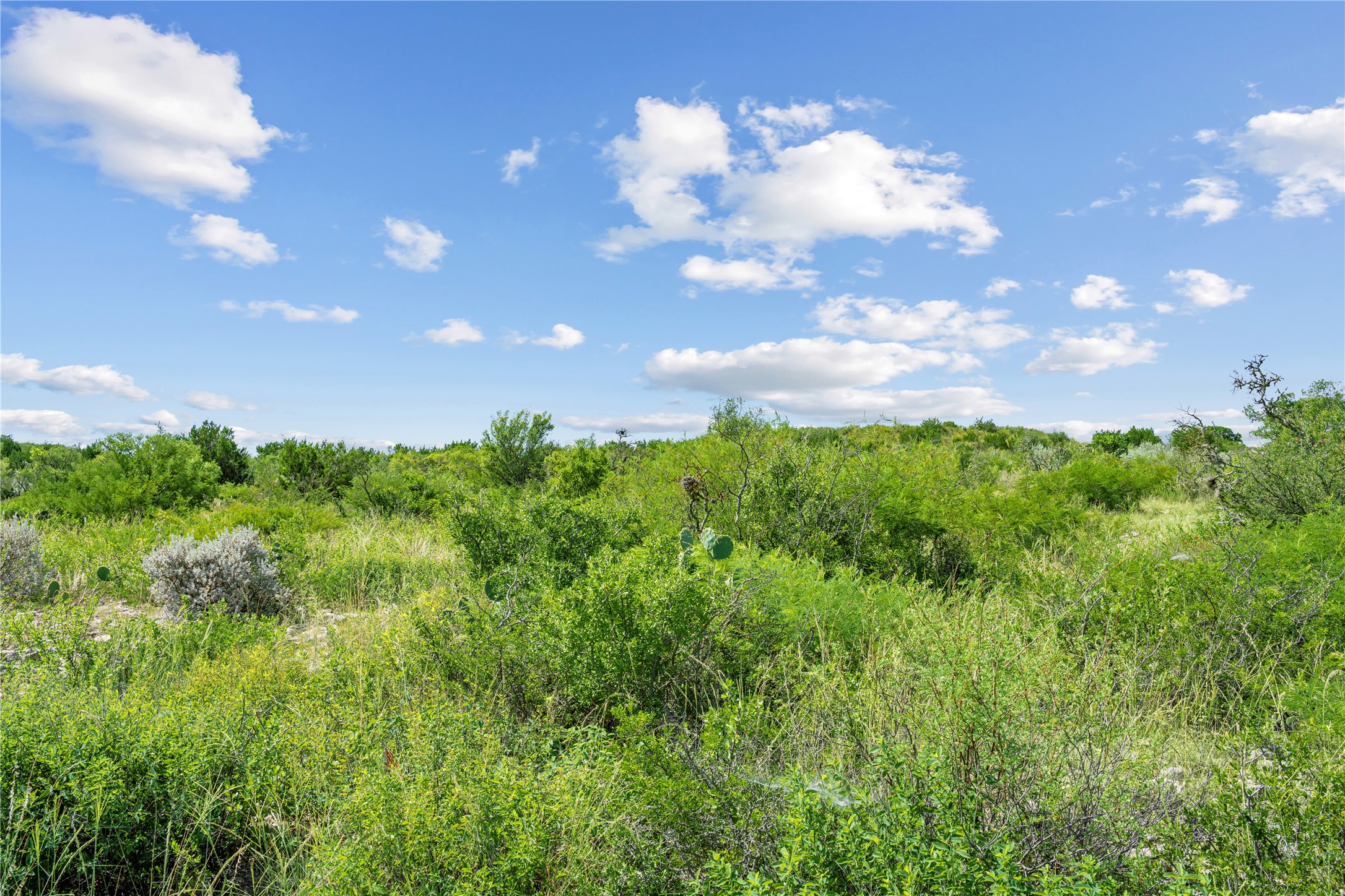 Nueces River Ranch Highway 55 Uvalde TX 78801