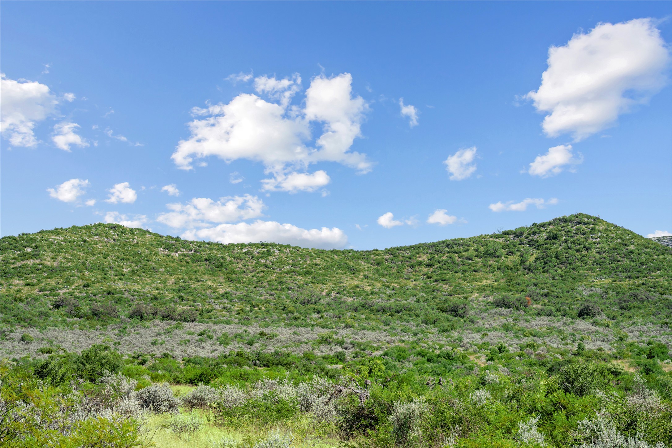 Nueces River Ranch Highway 55 Uvalde TX 78801