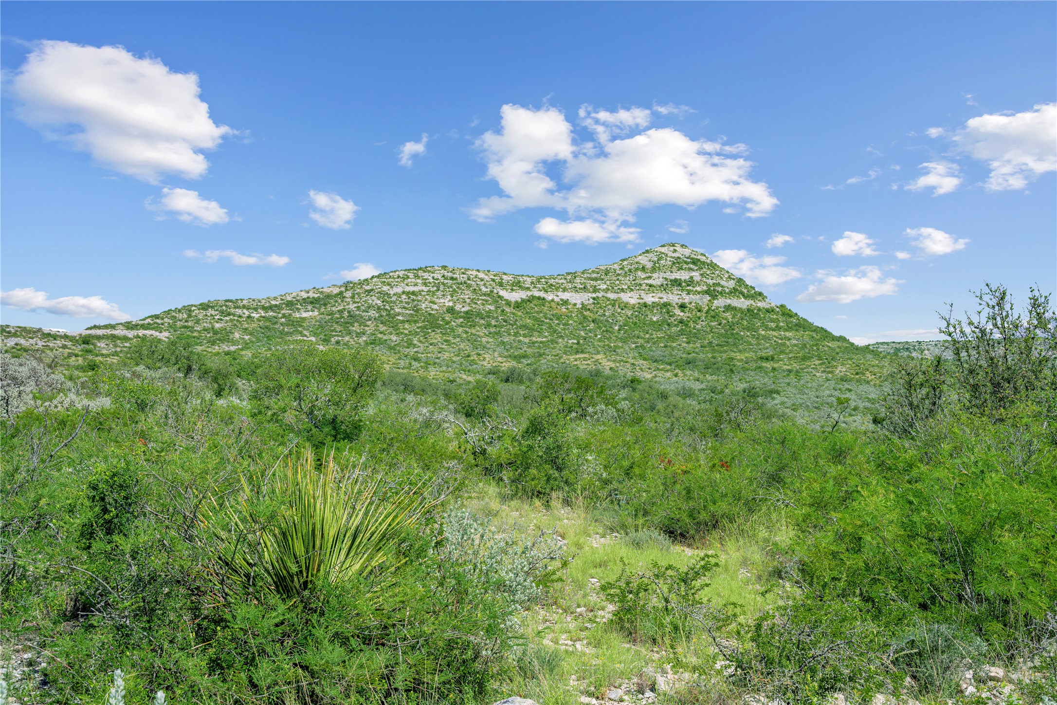 Nueces River Ranch Highway 55 Uvalde TX 78801