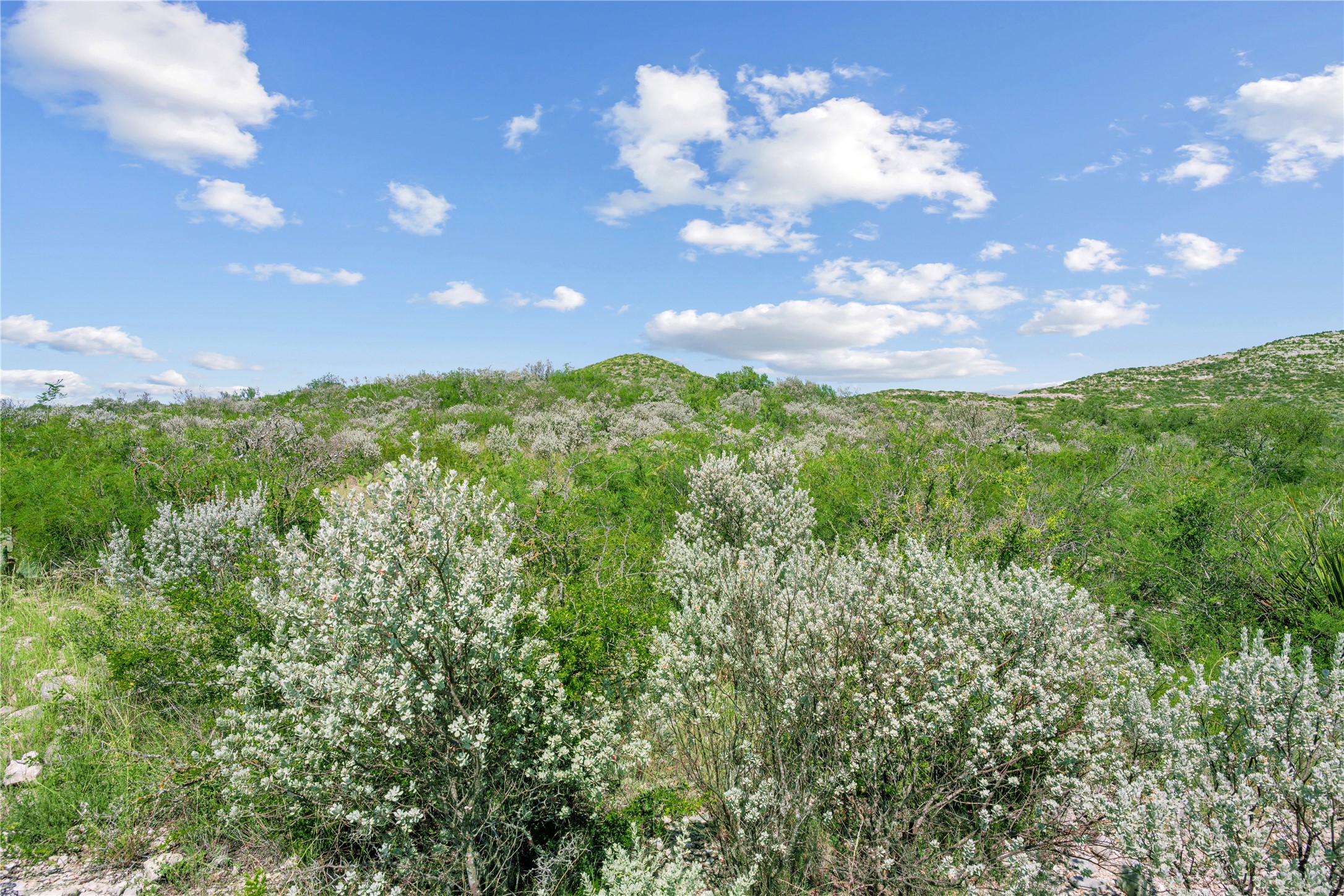Nueces River Ranch Highway 55 Uvalde TX 78801