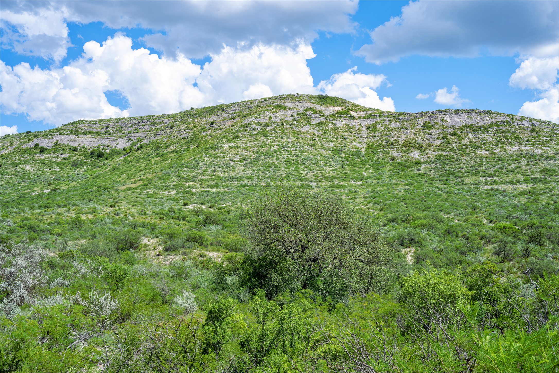 Nueces River Ranch Highway 55 Uvalde TX 78801