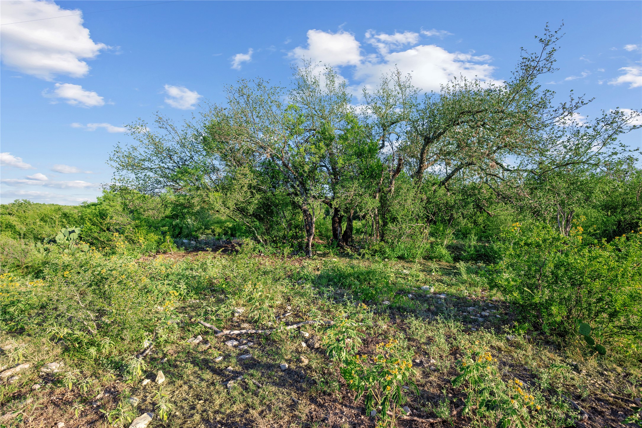 Nueces River Ranch Highway 55 Uvalde TX 78801