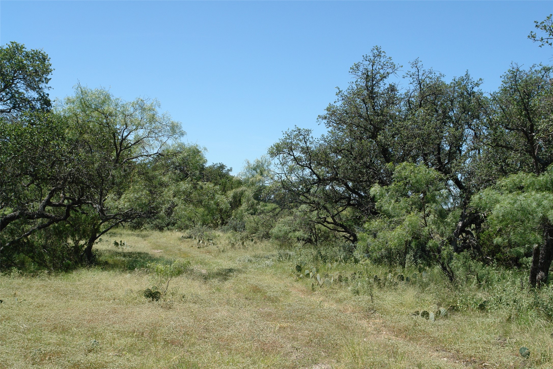 0001 Cr 146 Brady TX 76825