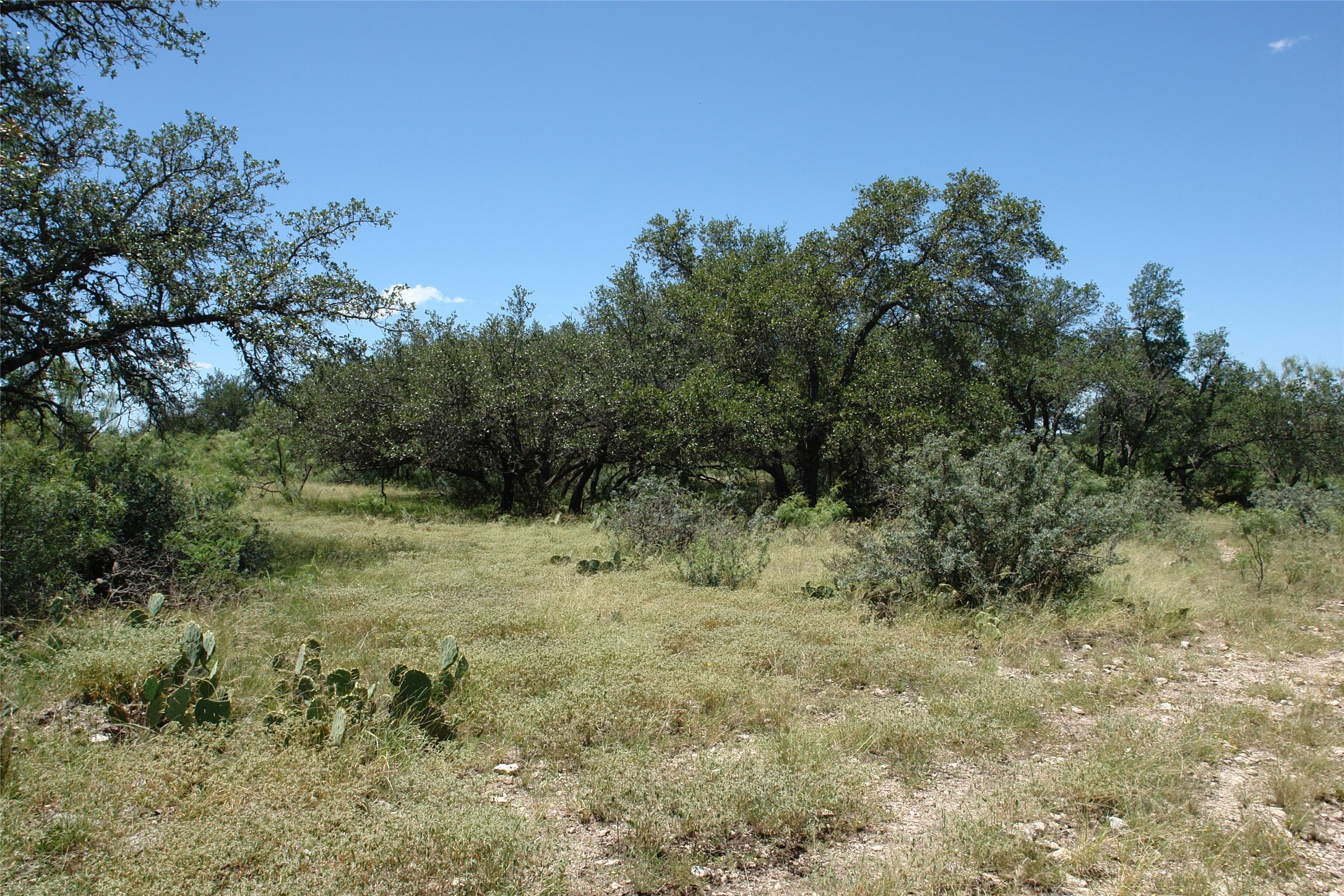0001 Cr 146 Brady TX 76825