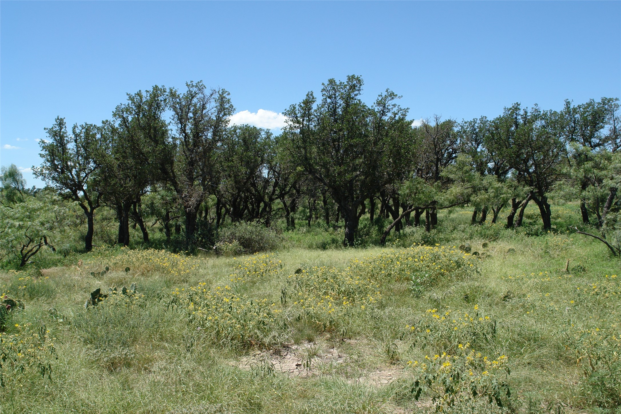 0001 Cr 146 Brady TX 76825
