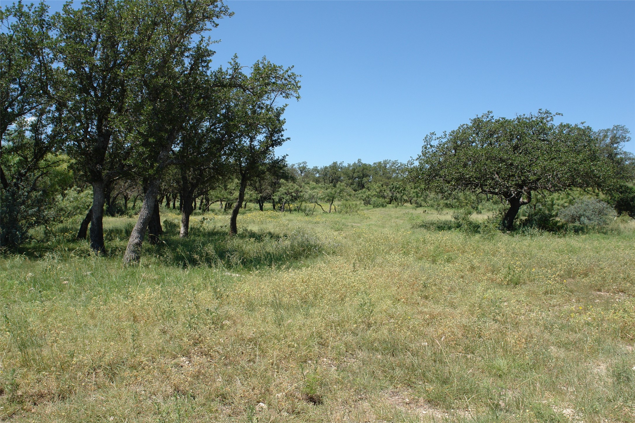 0001 Cr 146 Brady TX 76825