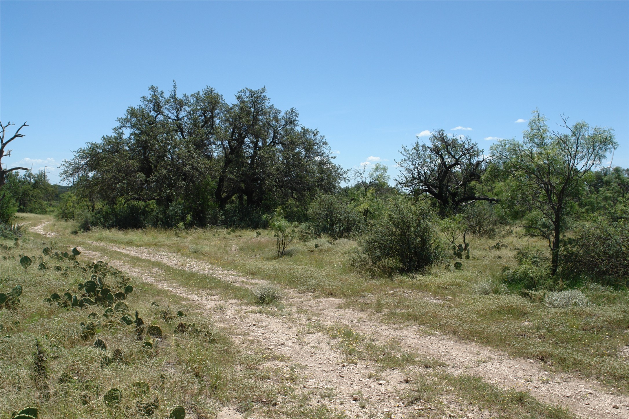 0001 Cr 146 Brady TX 76825