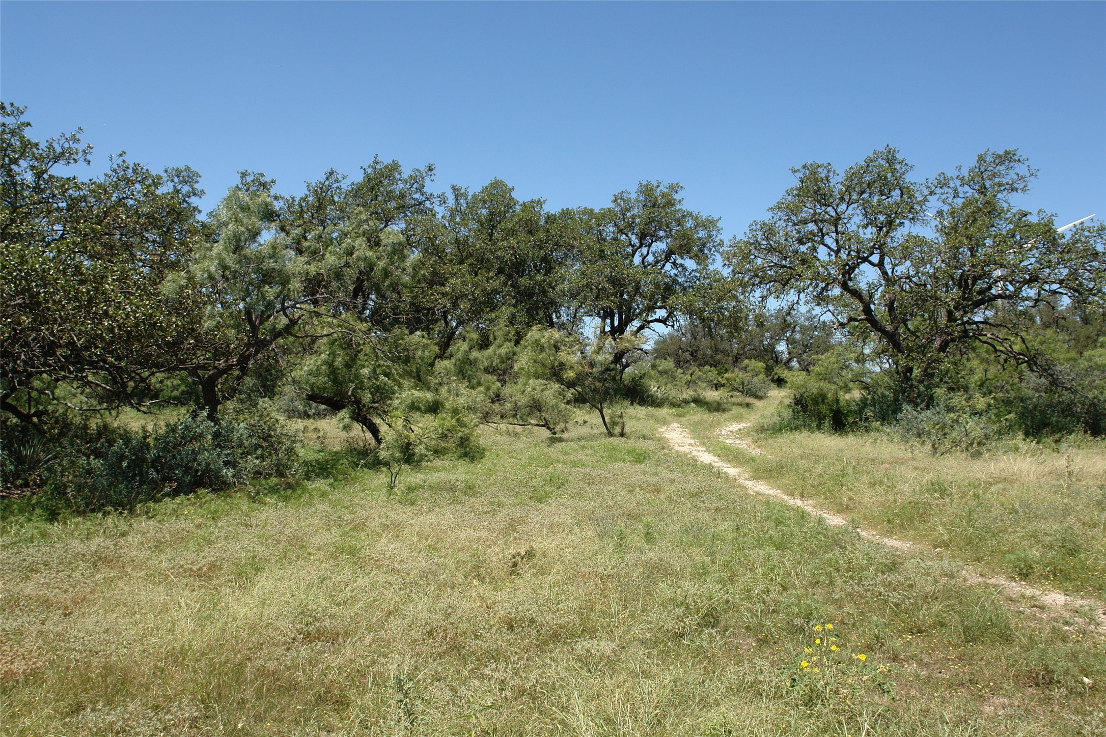 0001 Cr 146 Brady TX 76825