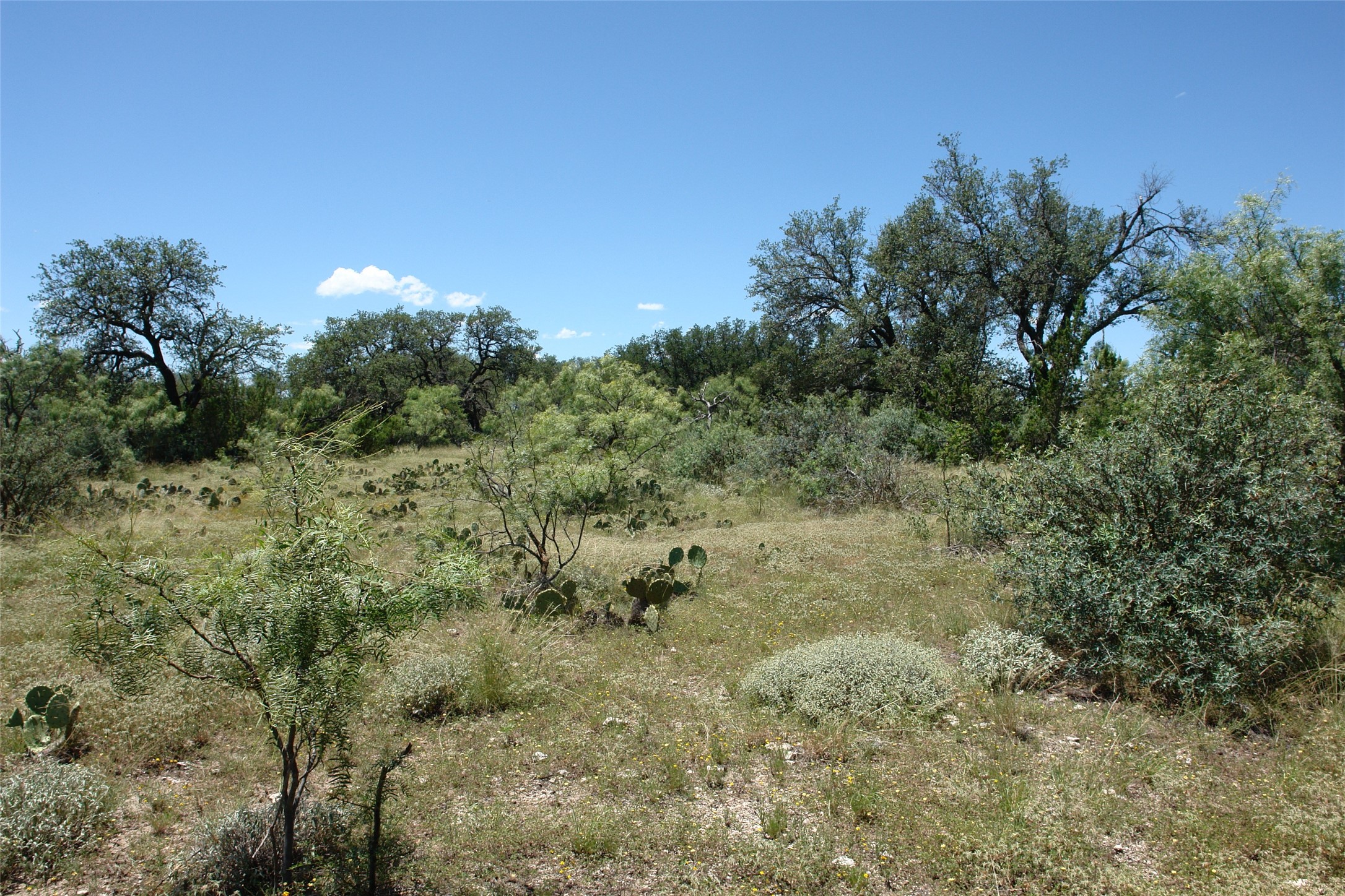 0001 Cr 146 Brady TX 76825