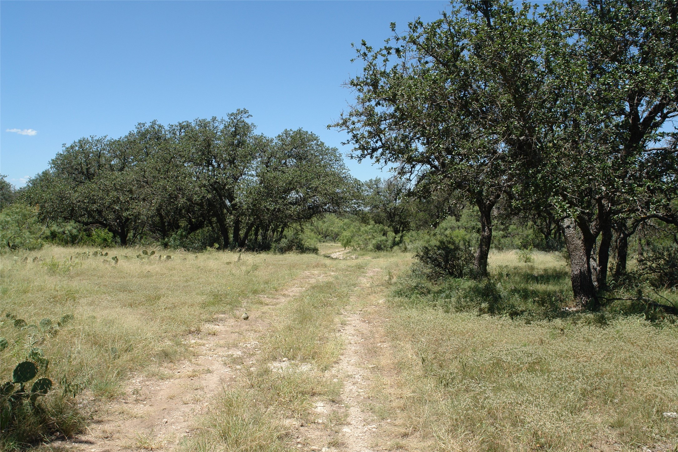 0001 Cr 146 Brady TX 76825