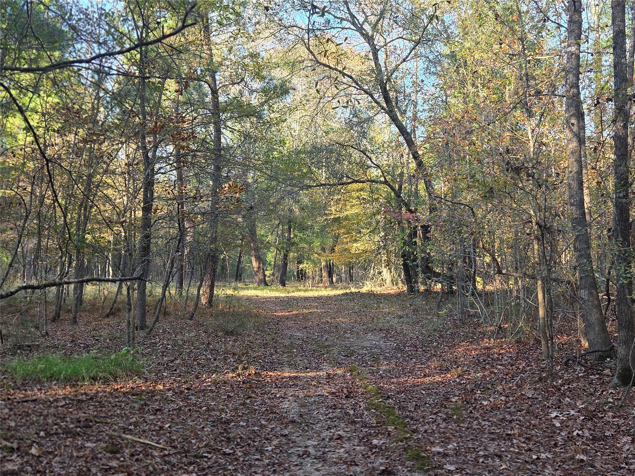 3 Acres Tbd County Road 3117 Clarksville TX 75426