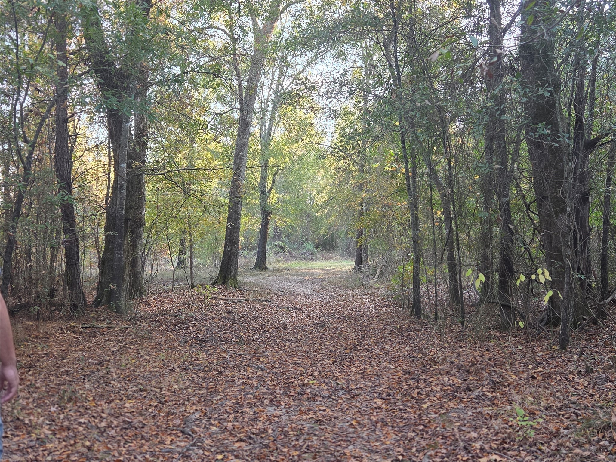 3 Acres Tbd County Road 3117 Clarksville TX 75426