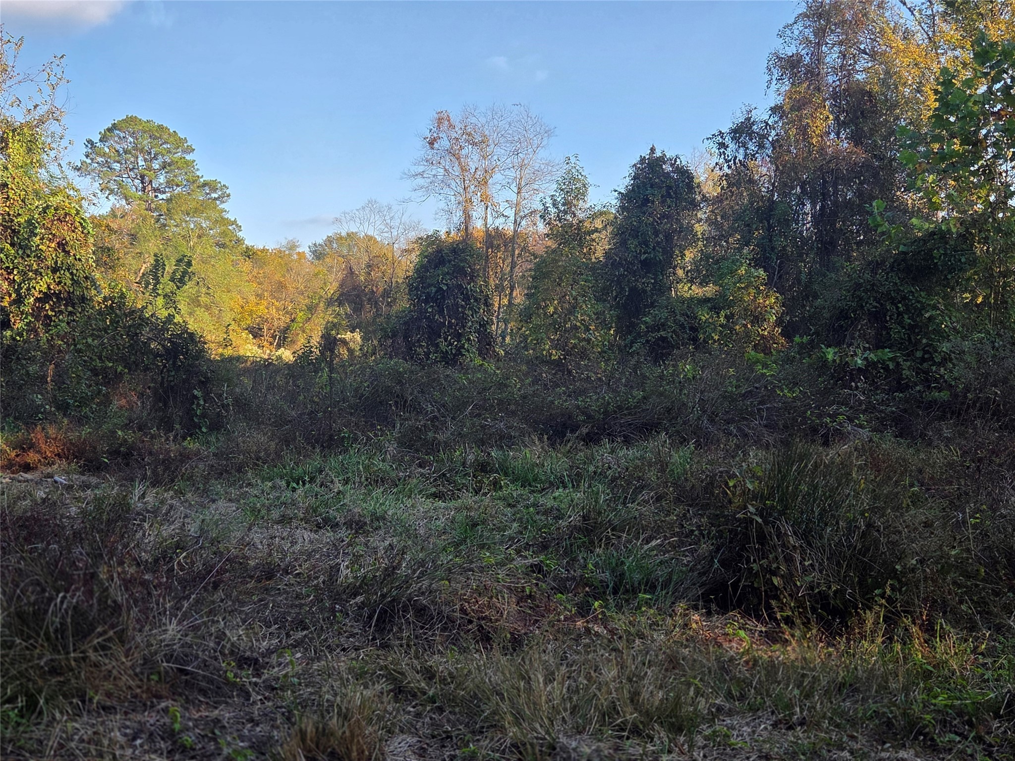3 Acres Tbd County Road 3117 Clarksville TX 75426