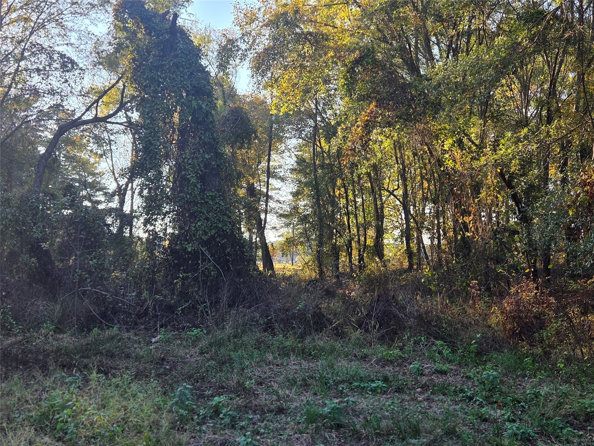 3 Acres Tbd County Road 3117 Clarksville TX 75426