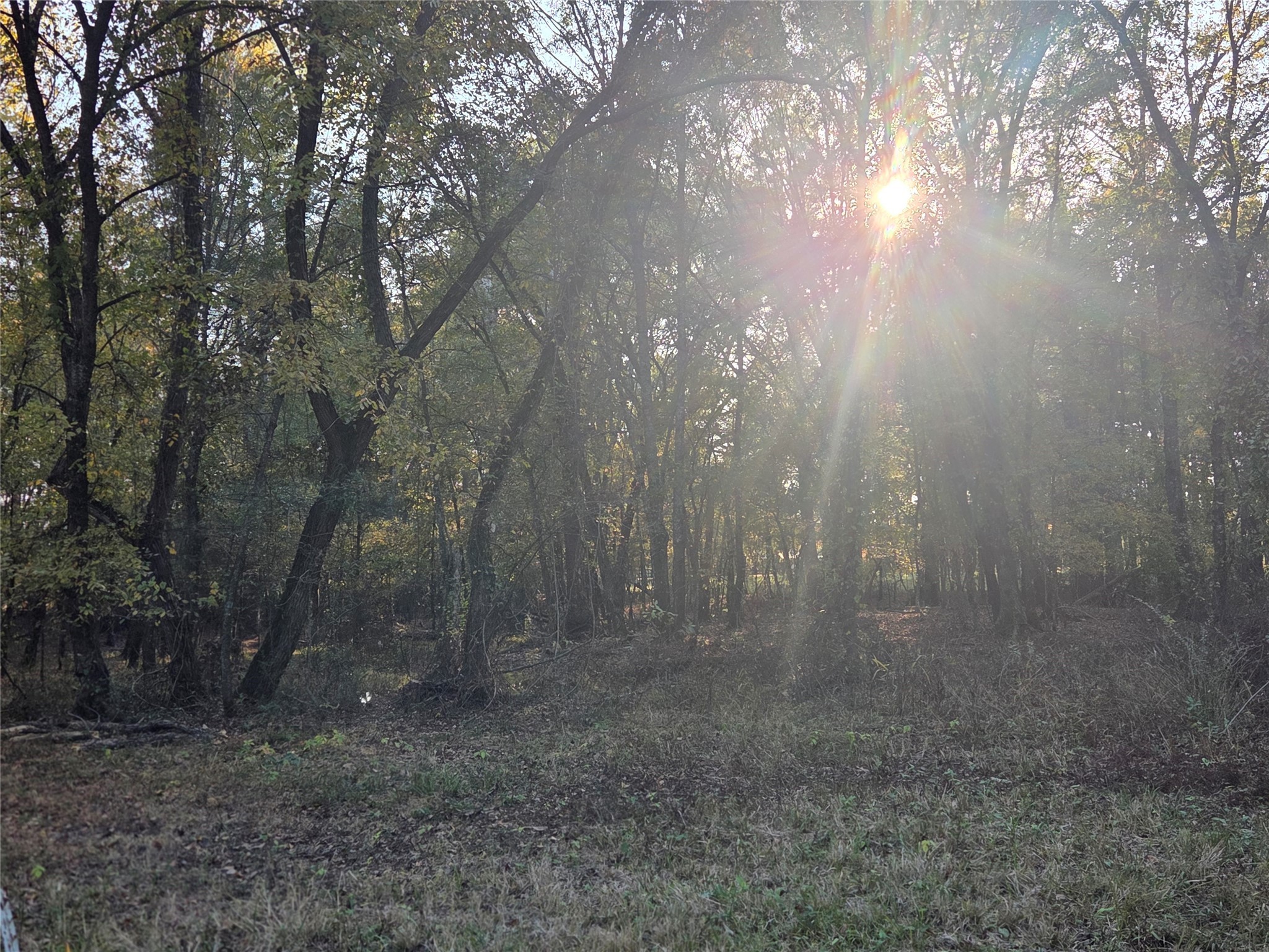 3 Acres Tbd County Road 3117 Clarksville TX 75426