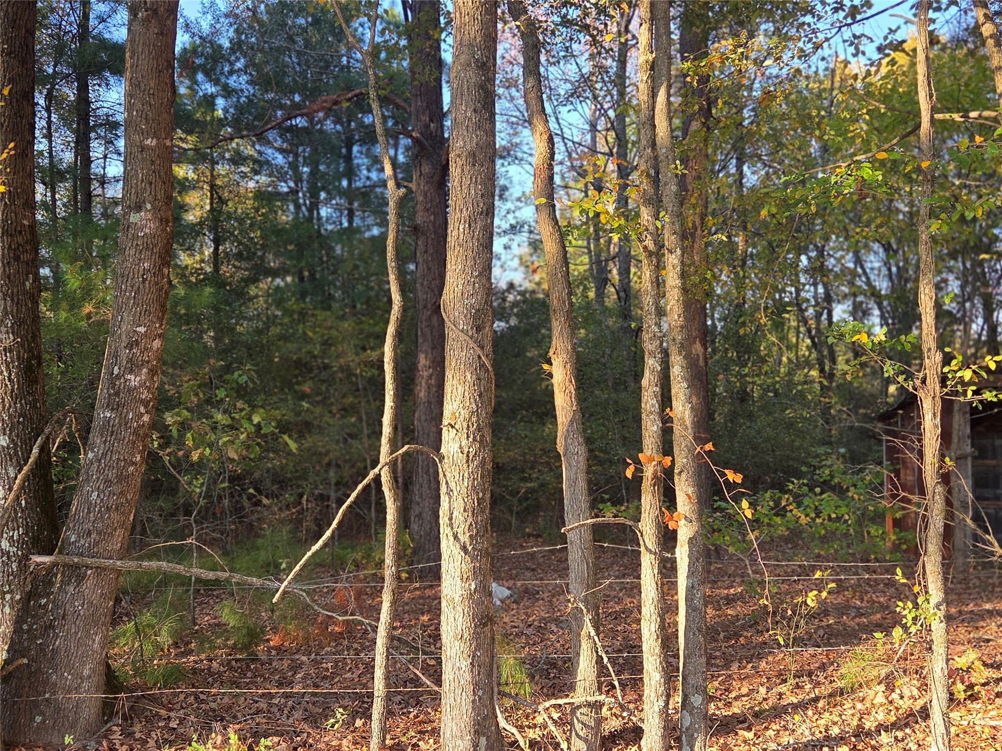 3 Acres Tbd County Road 3117 Clarksville TX 75426