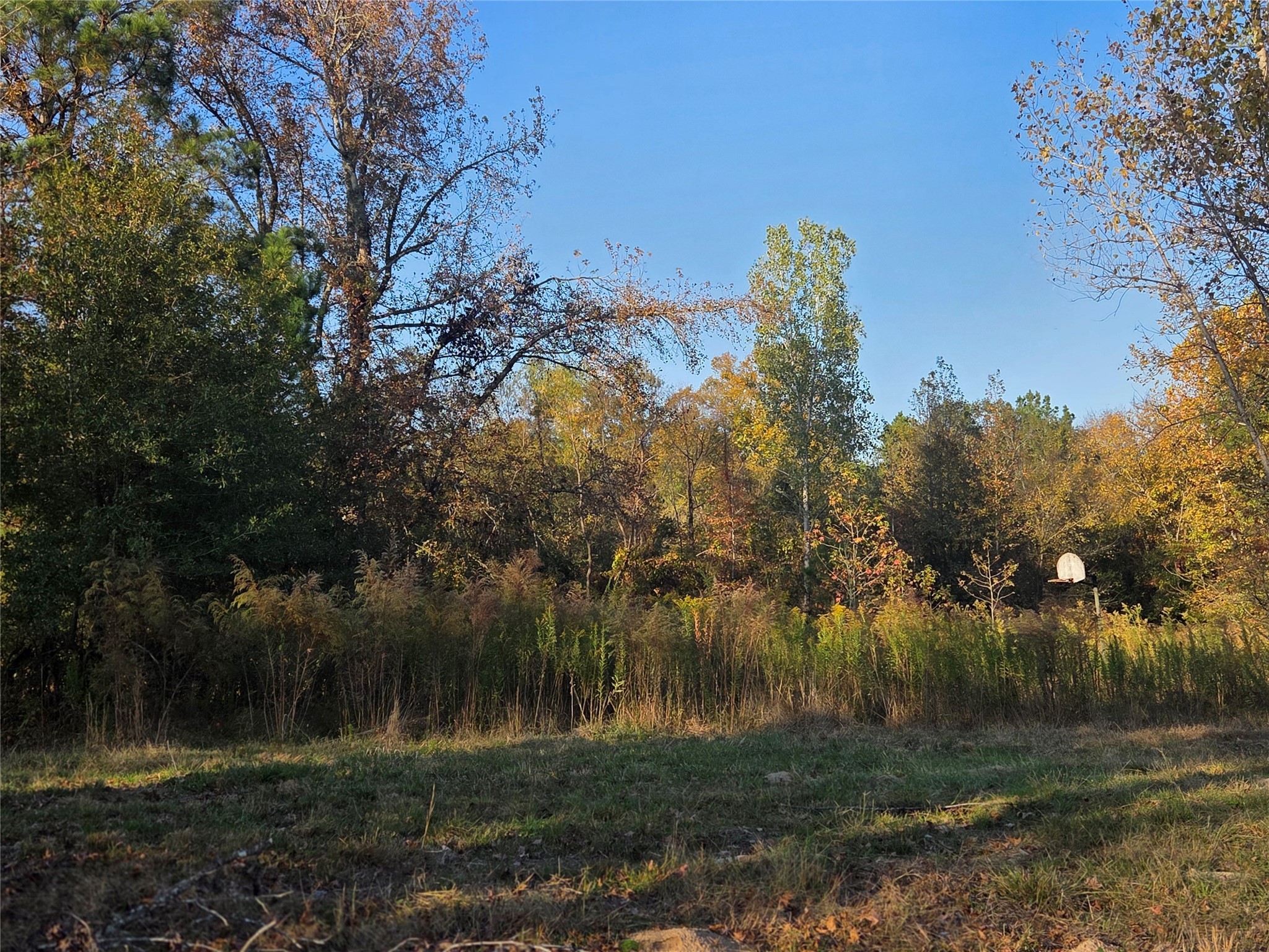 3 Acres Tbd County Road 3117 Clarksville TX 75426