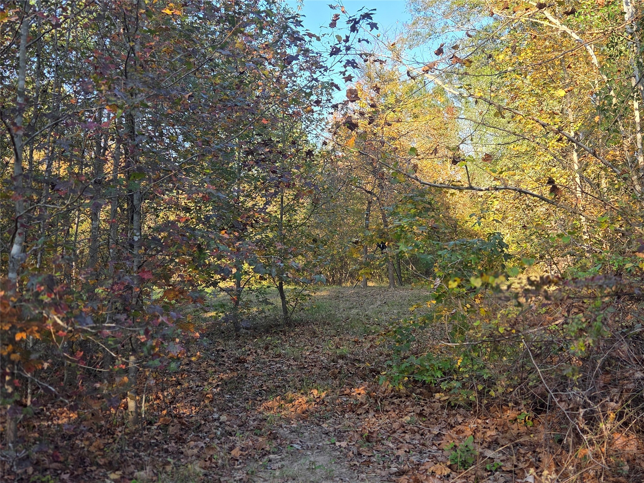 3 Acres Tbd County Road 3117 Clarksville TX 75426