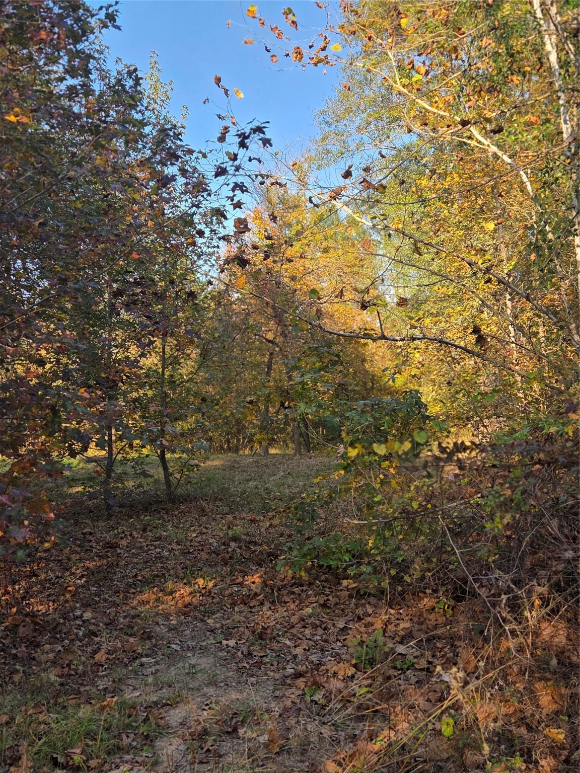 3 Acres Tbd County Road 3117 Clarksville TX 75426