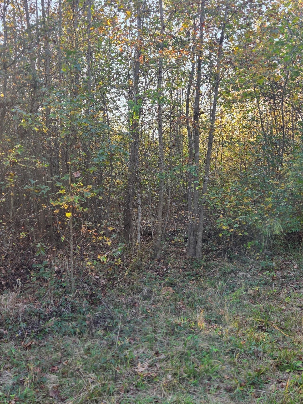 3 Acres Tbd County Road 3117 Clarksville TX 75426