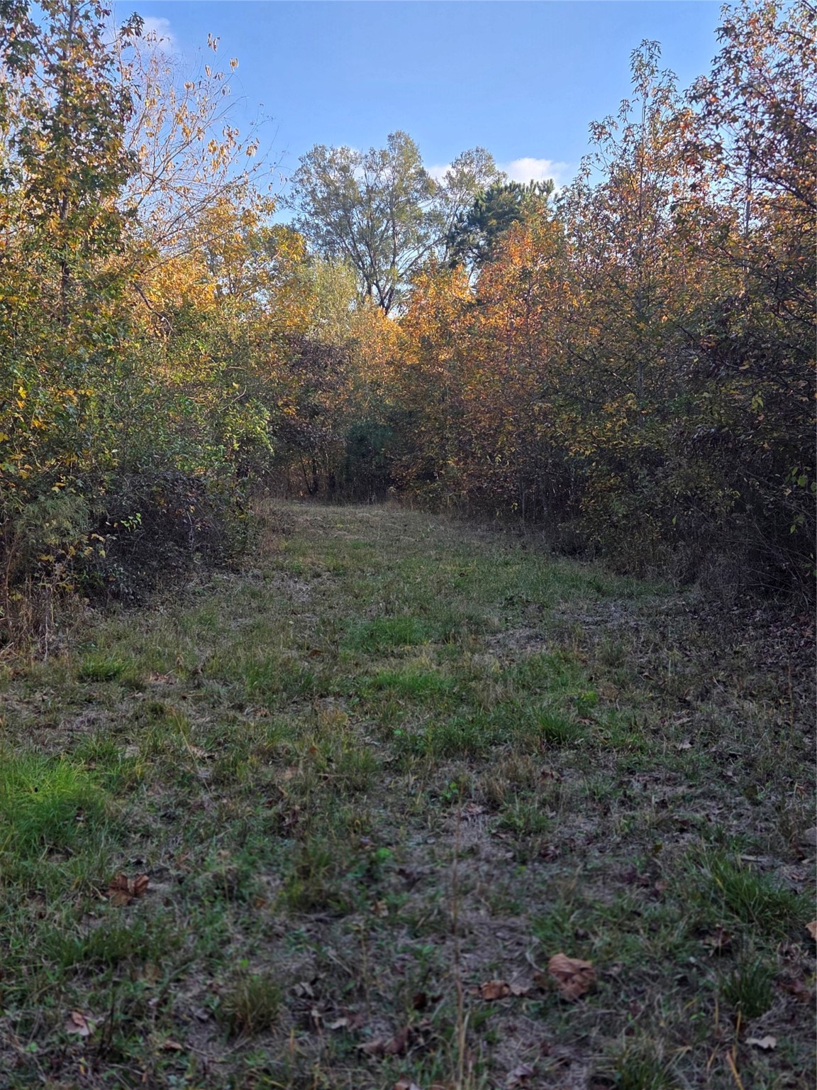 3 Acres Tbd County Road 3117 Clarksville TX 75426