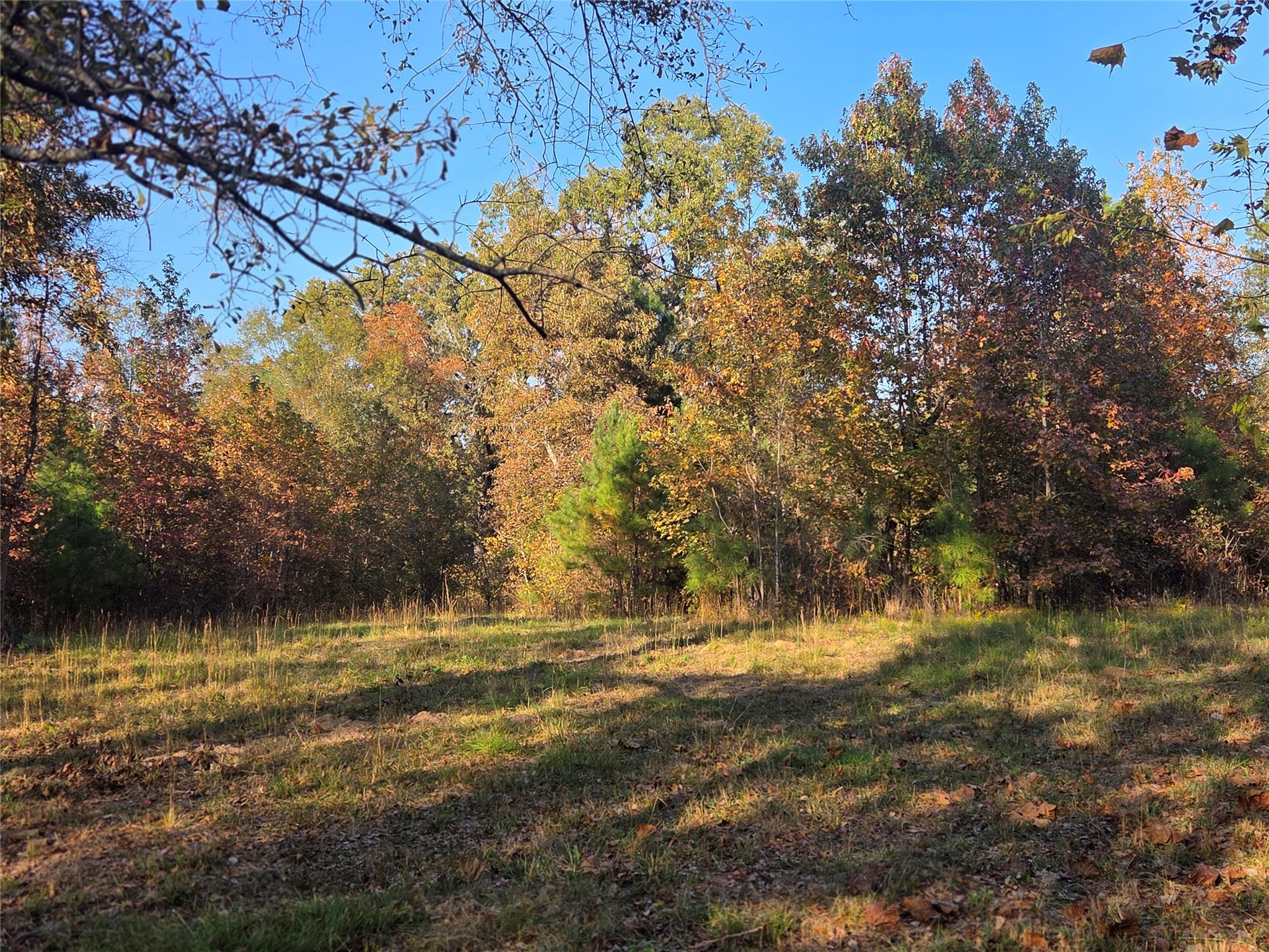 3 Acres Tbd County Road 3117 Clarksville TX 75426