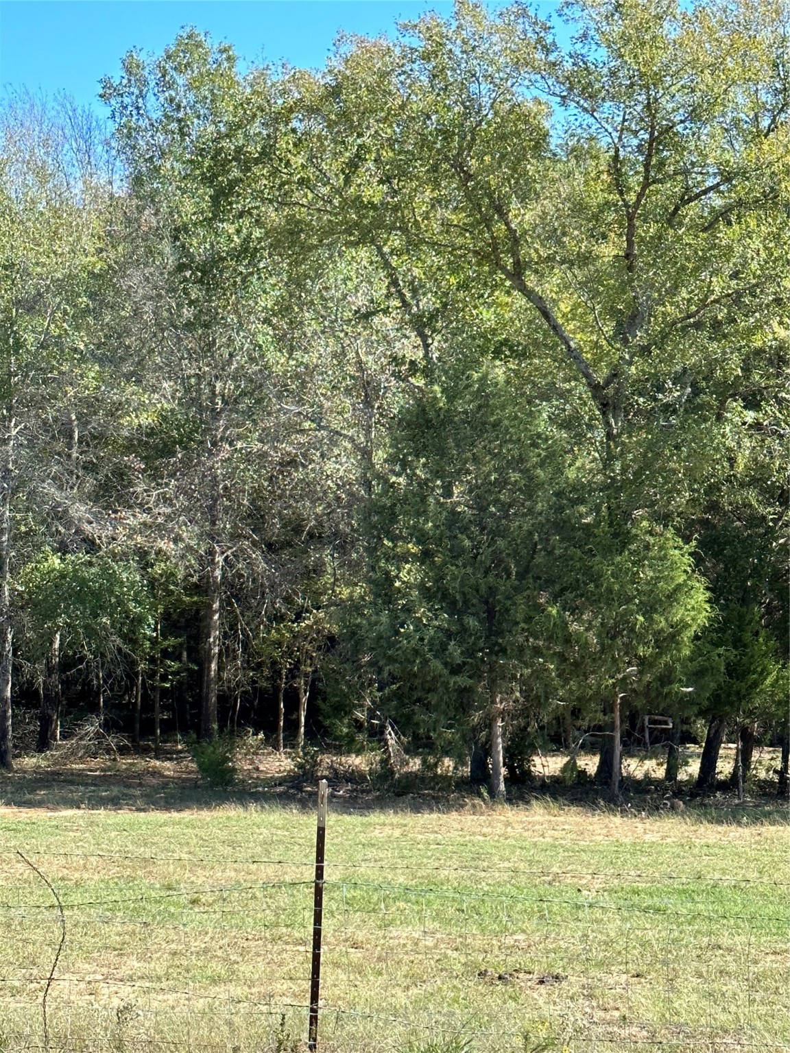 2924 Cr 1403 Malakoff TX 75148