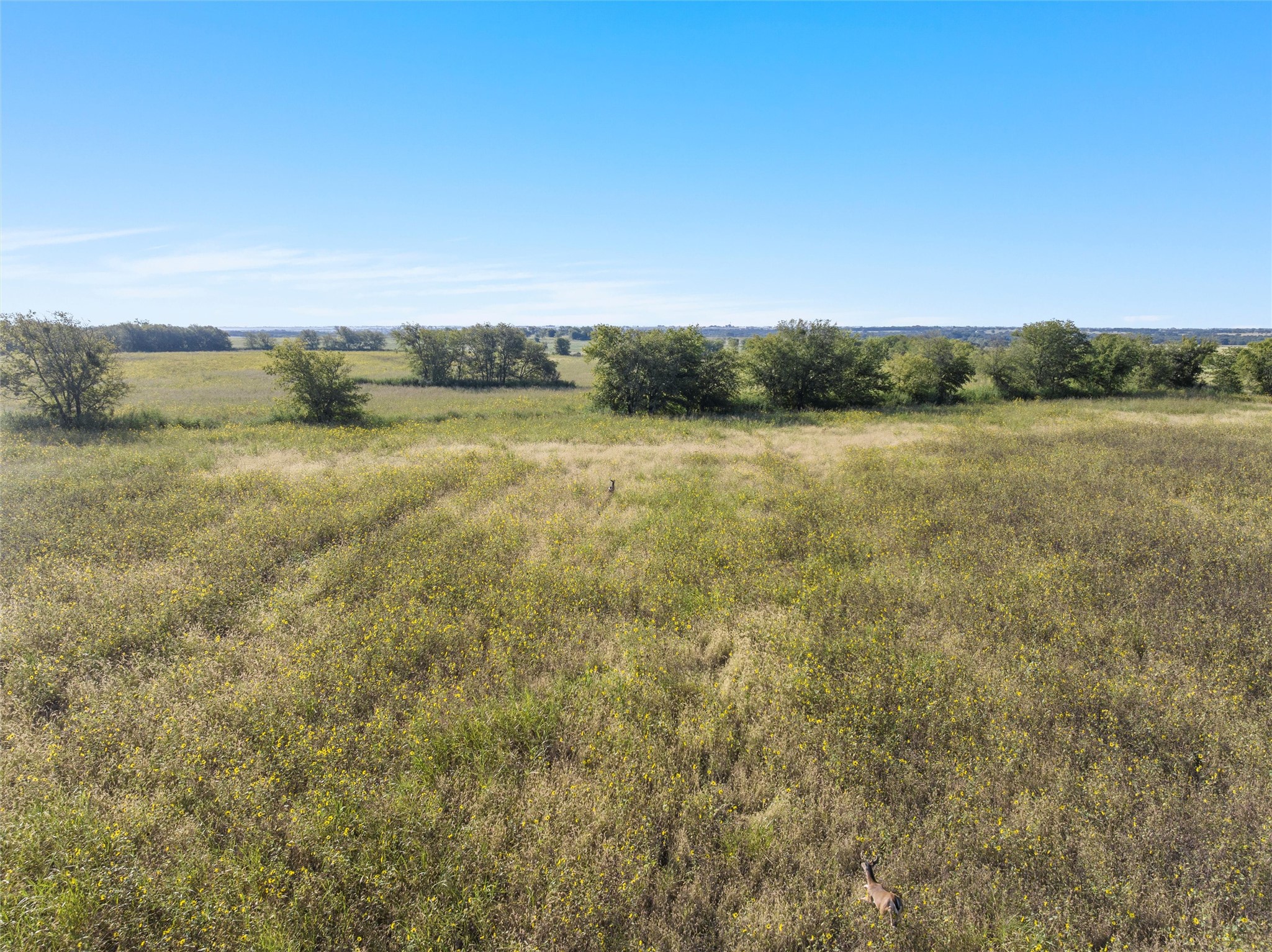 902 Mattlage Road Crawford TX 76638