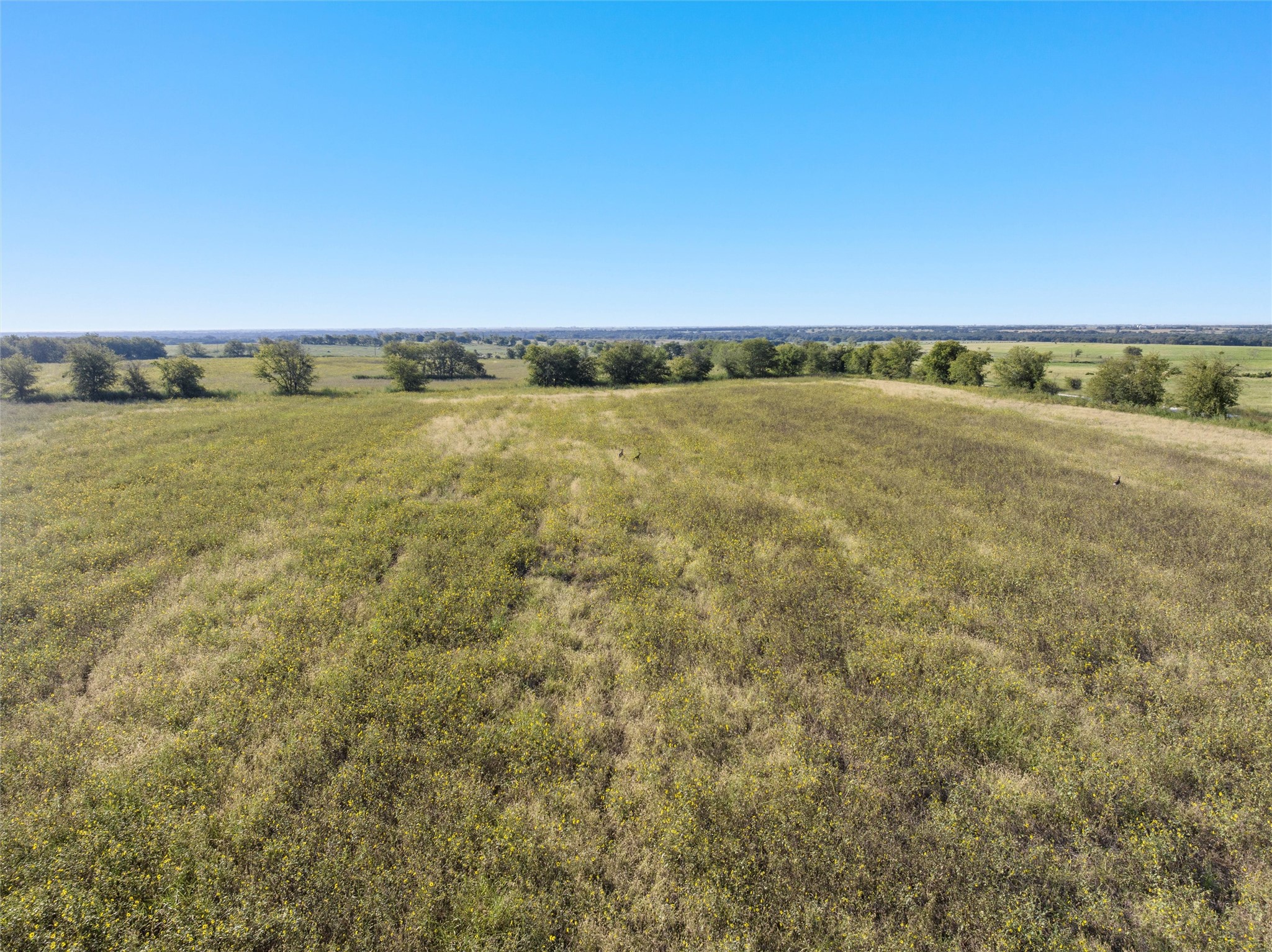 902 Mattlage Road Crawford TX 76638