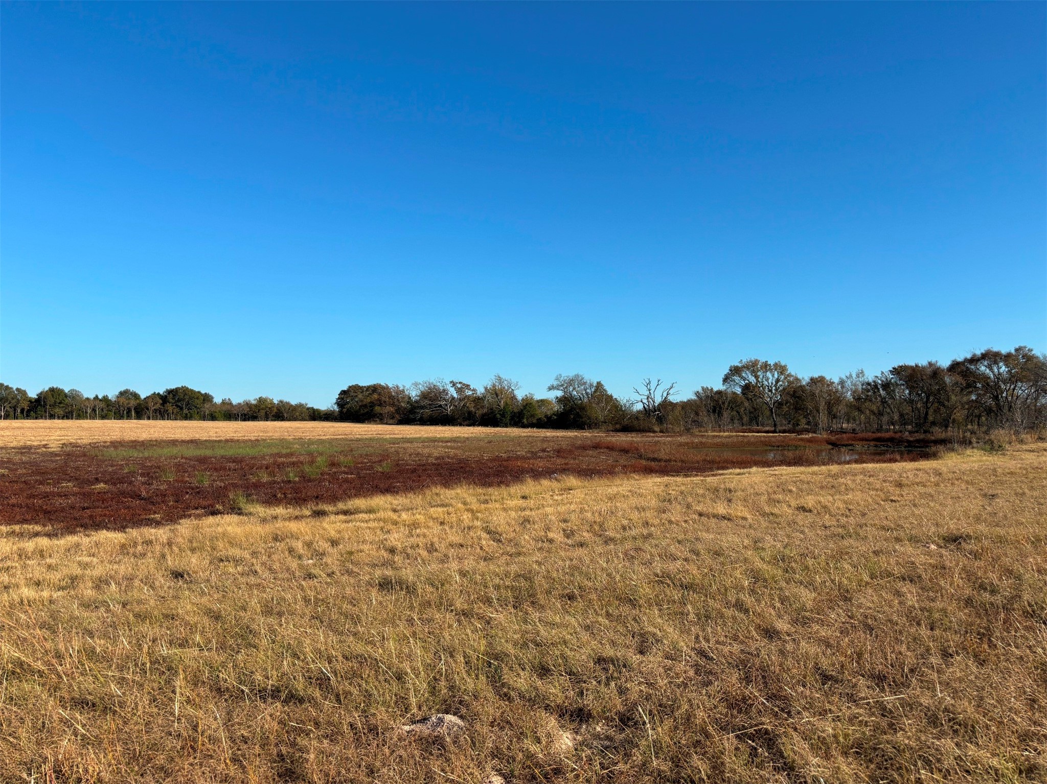 000 Fm 1653 Ben Wheeler TX 75754