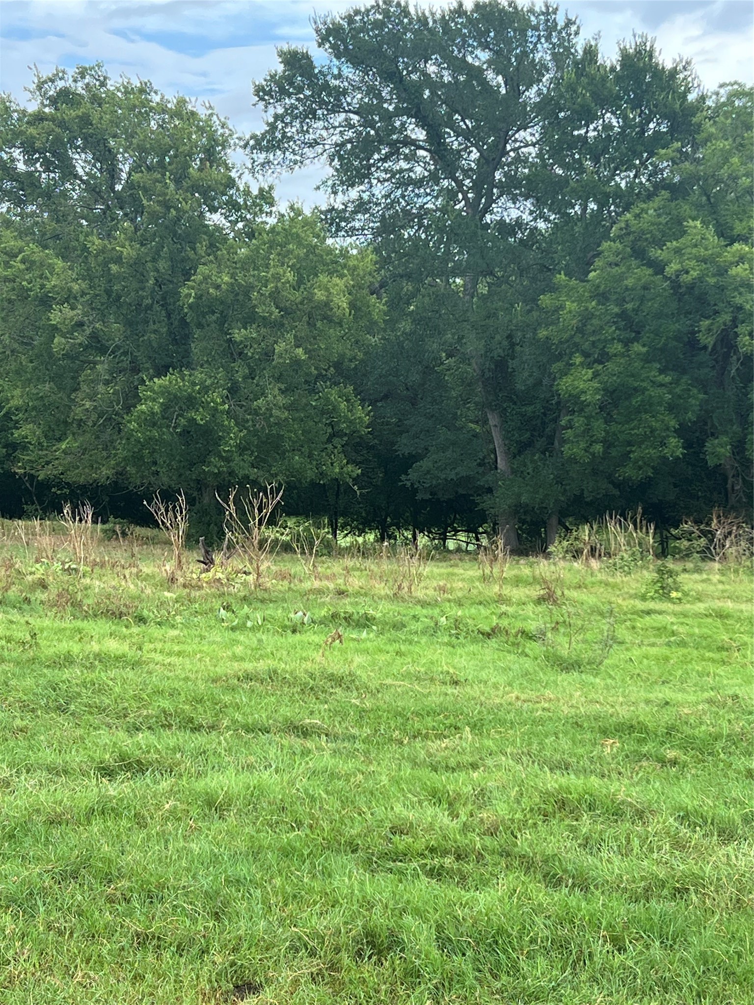 Tbd Abel Lane Boyd TX 76023