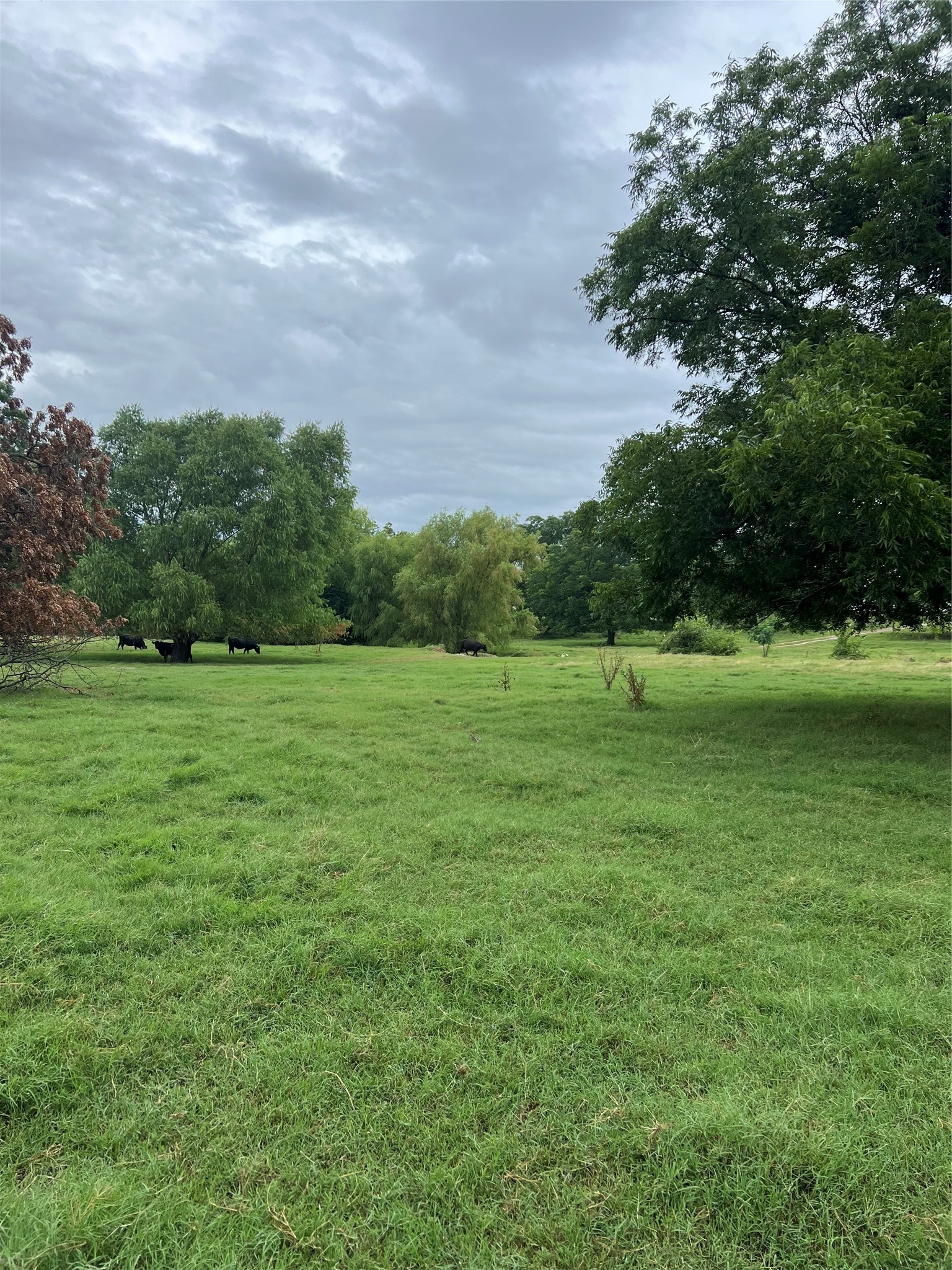 Tbd Abel Lane Boyd TX 76023
